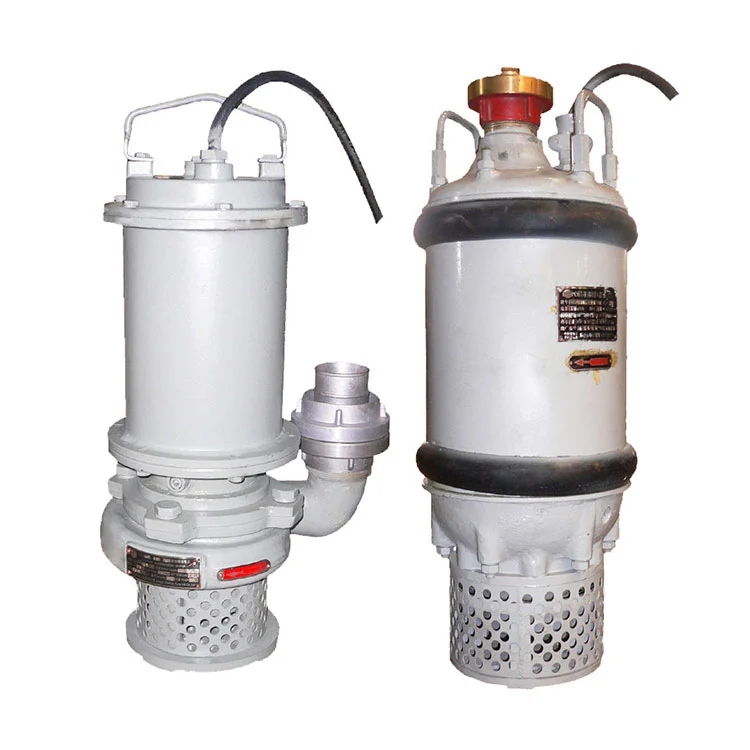 CQX Marine Pam Motor Termerged